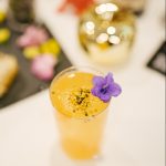 dsc01000-e1679430938623