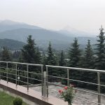 izobrazhenie_viber_2022-06-17_16-51-17-101