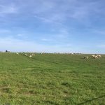 whatsapp-image-2023-10-18-at-10.36.22-am