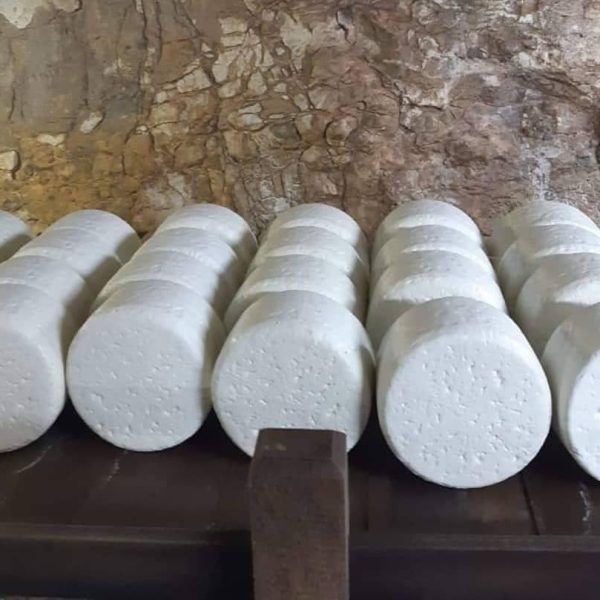 81555632_2718628791555800_7838148198022512640_o