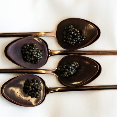 img_1925-scaled-e1709235292910