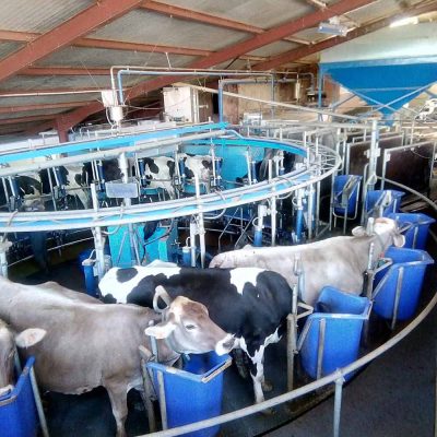 img_20191002_154452-1