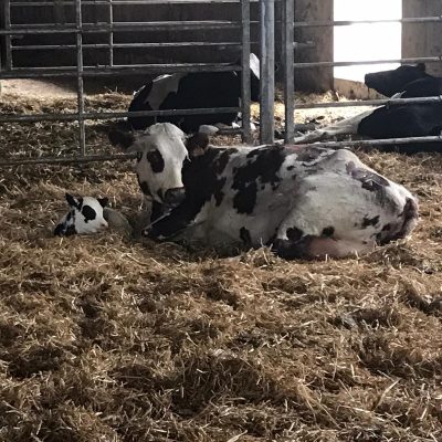 whatsapp-image-2023-10-18-at-10.33.25-am-1