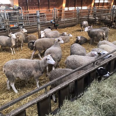 whatsapp-image-2023-10-18-at-10.34.13-am